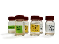 �W�߂�ꂽ�v�����N�g��