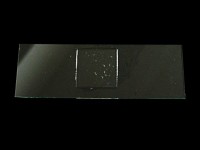 �v�����N�g�����X���C�h�O���X�ɏ悹��