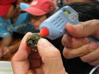 �O���[�K���Ŋk����o���Ă݂悤