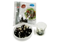 �����C��