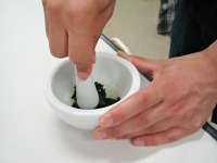 �����ł���Ԃ�