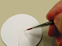 �뎆�ɐF�_�����Ă���