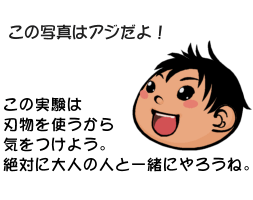 ���̎����͑�l�ƈꏏ�ɂ��悤��