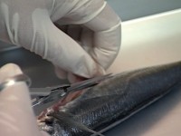 ���Ɍ������Đ؂肷���߂�