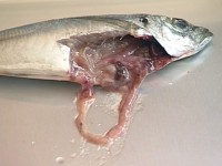 �����ǂ��o�����Ƃ���