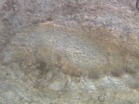 �A�W�݂̈̓��e��