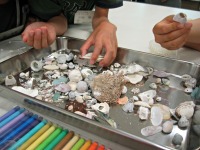 ����������̂�I��