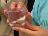 �����I�u�W�F