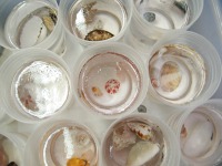 �����������߂Ă���Ƃ���