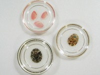 ���܂��J�b�v������o�����Ƃ���