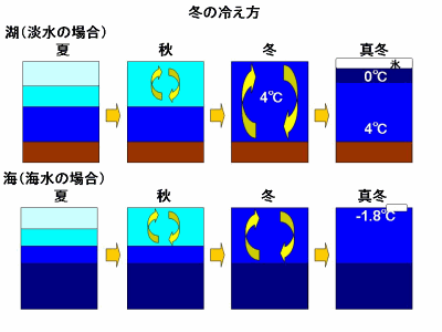 �����̗L���Ɠ����