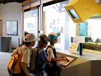 �̂ƊC�m�ӂꂠ���Z���^�[