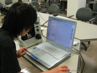 �C���^�[�l�b�g�Œ��ׂĂ݂悤