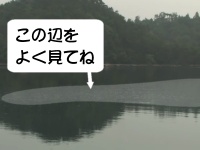 �����ɒ��ځI