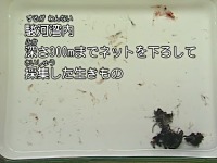 �x�͘p���[��1,100���ō̏W������������