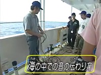 �C�̒��̉��̓`����