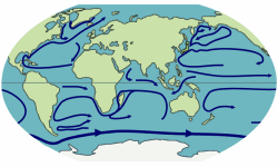 �N���b�N����Ƒ傫�ȉ摜���������