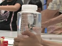 �f�J���g�̐����v�̌���