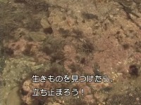 �ώ@�̃|�C���g