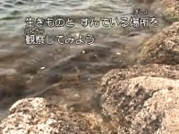 �ώ@�̃|�C���g