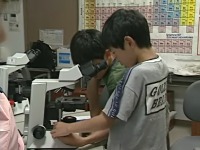 �v�����N�g���@�ώ@