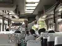 �X�m�[�P�����O���z�Q