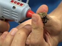 ���h�J���̎���